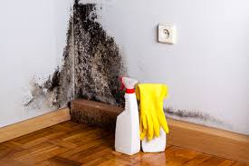 Mold Remediation for Rental Properties in Dublin, GA